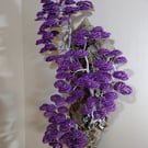The beautiful cascading bonsai trees on cork bark 