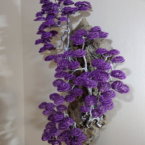 The beautiful cascading bonsai trees on cork bark 
