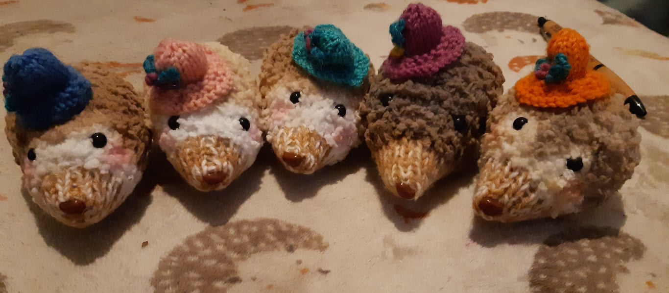 Hand made Hedgehogs