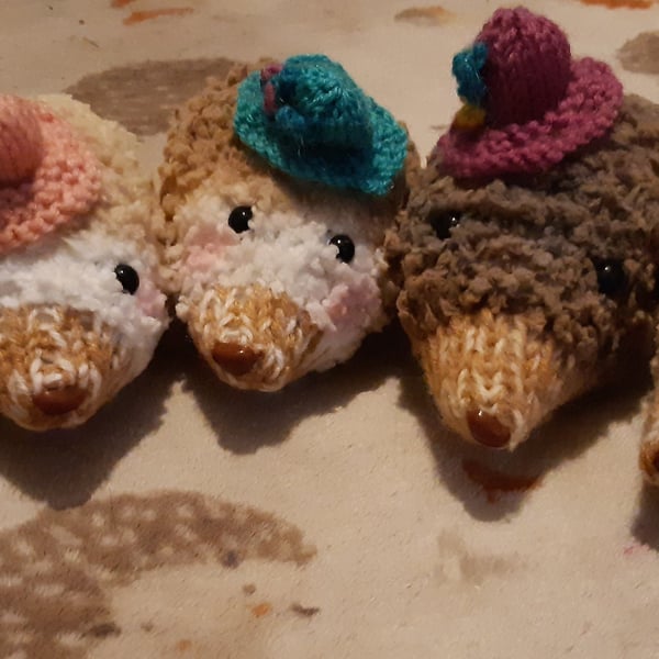 Hand made Hedgehogs