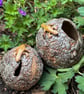 Stoneware sphere with lizard - Image 4