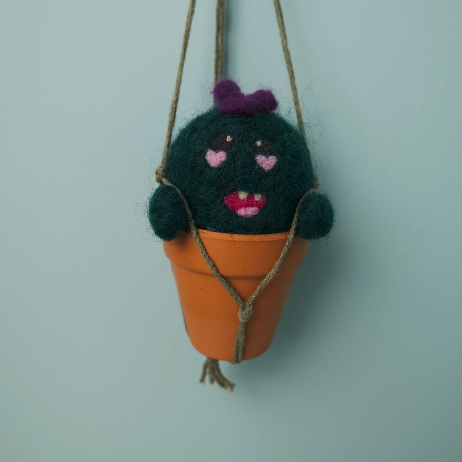 Hanging Cactus Planter