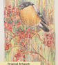 Bullfinch small original drawing, letterbox art gift - Image 2