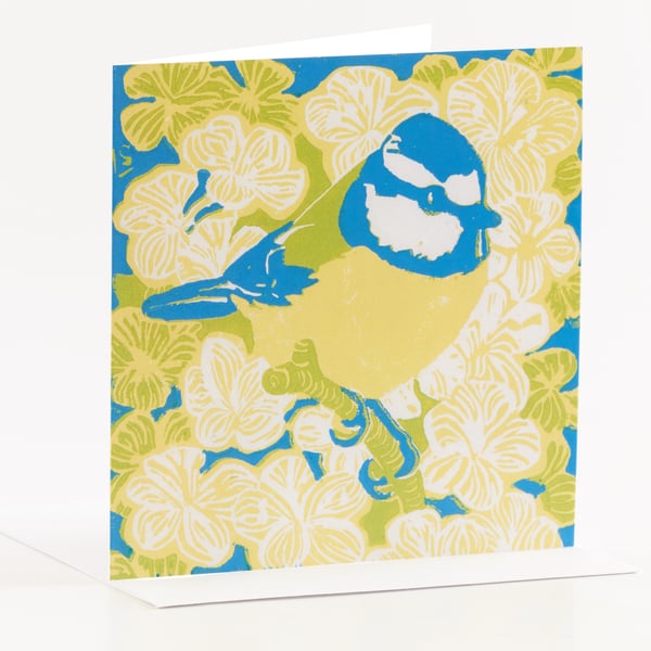 Blue tit yellow belly greetings card