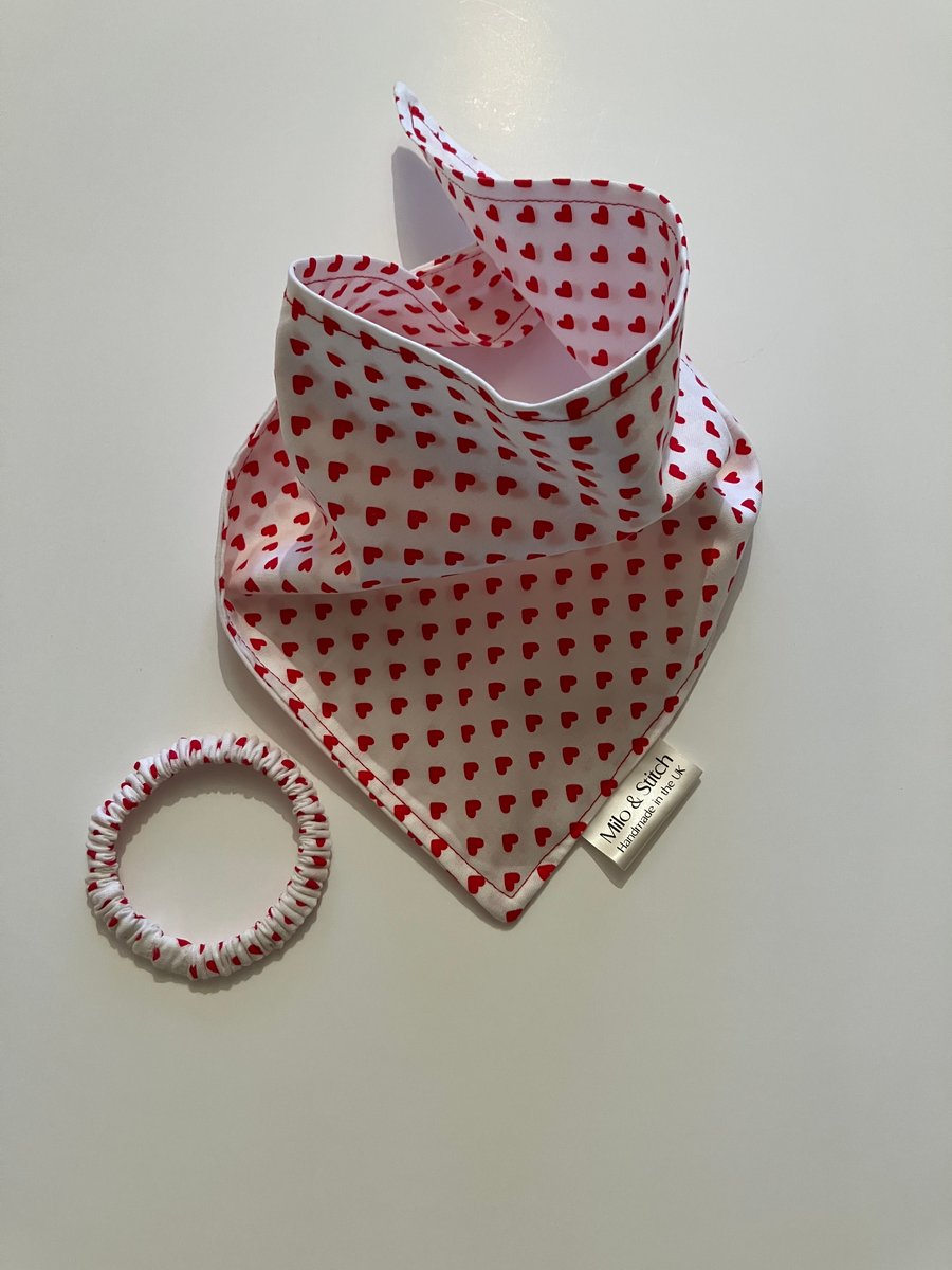 Small Valentine's Dog Bandana & Scrunchie
