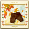 Little Nipper Hazelnut Brown Corduroy Trousers