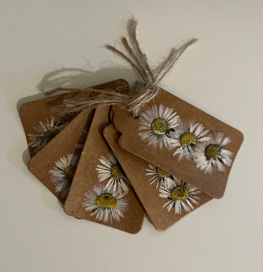 Real Pressed Daisy tags (pack of 5)