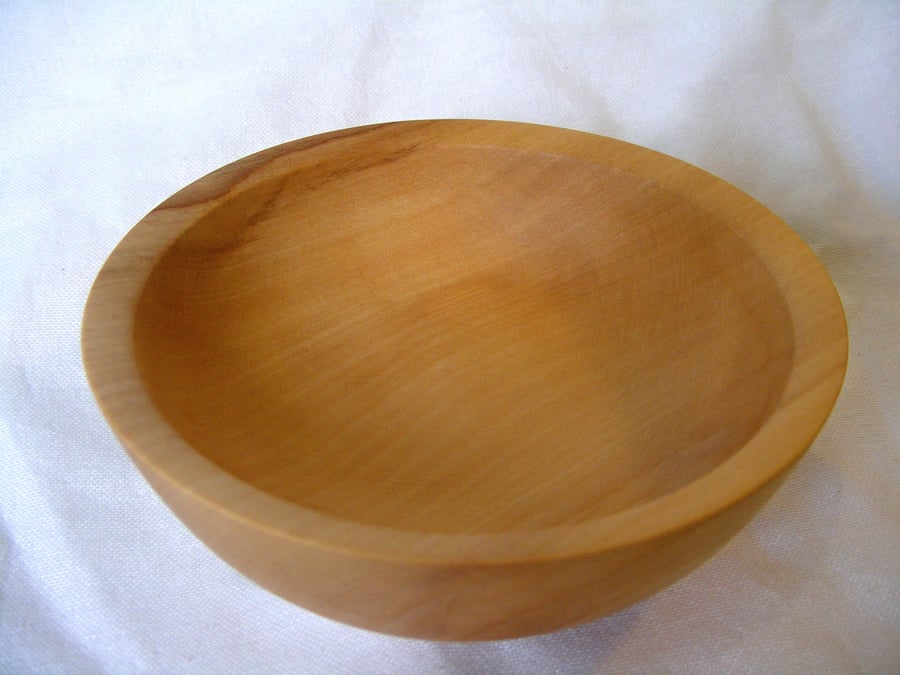 Small Horse chestnut food bowl 230