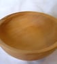 Small Horse chestnut food bowl 230 - Image 1