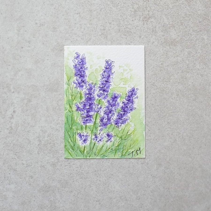 Original Art Watercolour ACEO  Floral Flower  'Lavender'