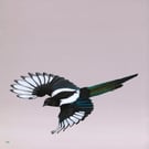 Fine Art Giclée Print Magpie in Flight Bird