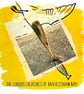 Diving Bird; framed image, mounted and printed on card and handmade paper - Image 2