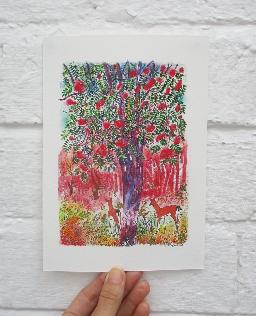 Deer and Rowan Tree - Signed Open Edition Art Print - Woodland Print