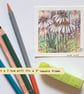 Miniature - Echinacea Coneflowers drawing, original art, original floral mini - Image 3