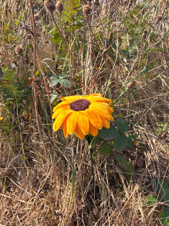 Handmade Everlasting Sunflower – Single Stem