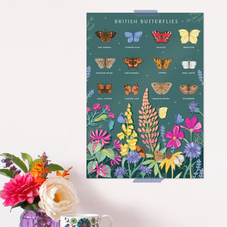 British ButterfliesPoster - Field Guide Poster - A3 sized
