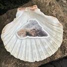 Die Cut Sticker from original photography sea wave foam seaside