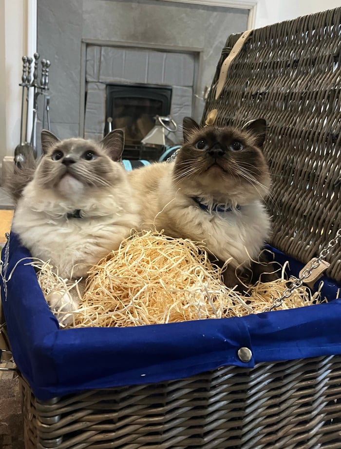 Jewellery Gems by Linda