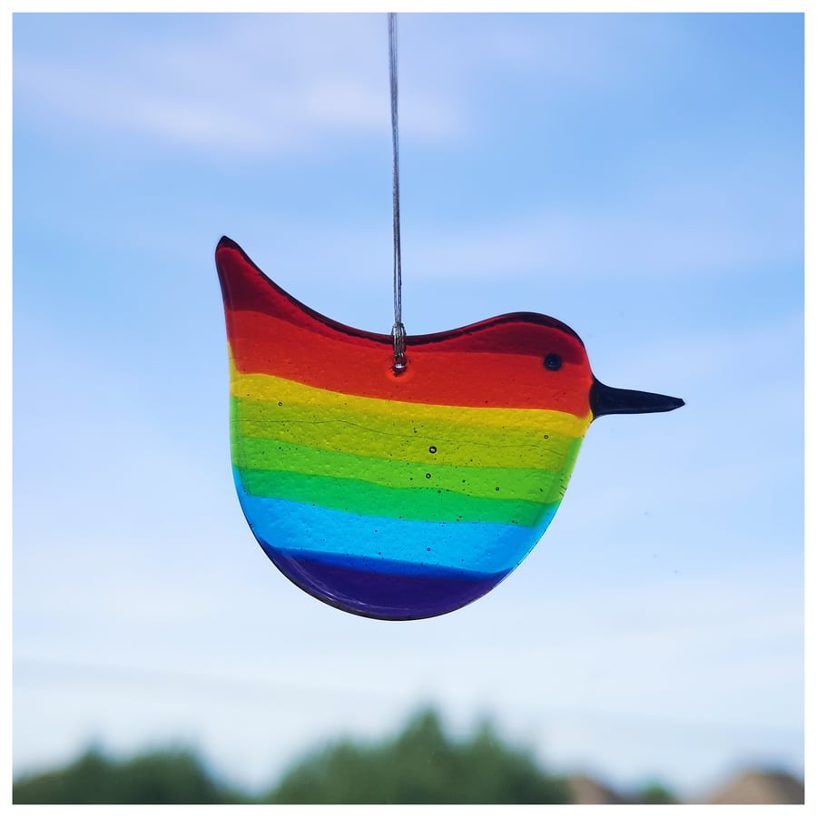  'Rainbow Wren of Hope' bird with a red back and tail