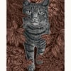 Watson No.2 A3 poster print