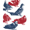 Pigeons A3 poster-print