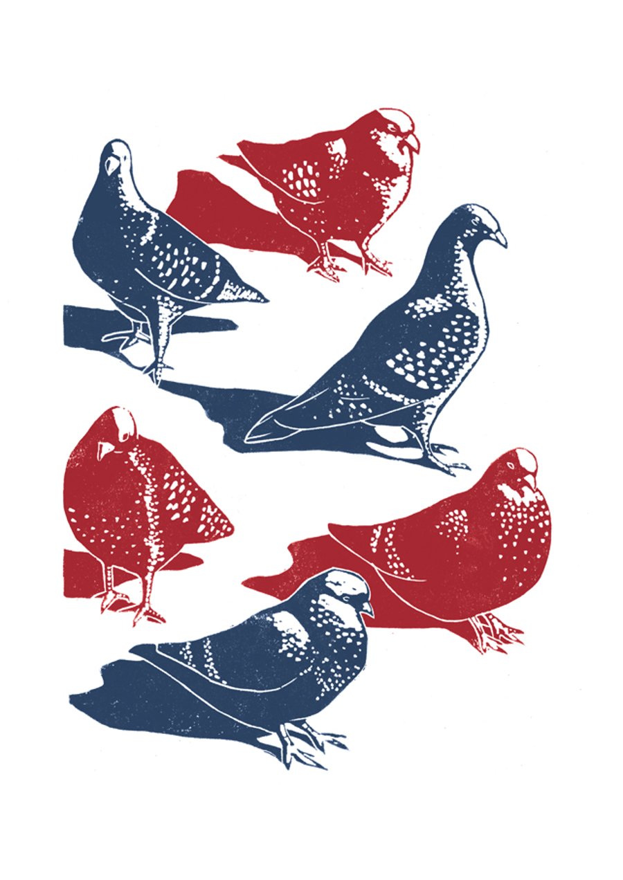 Pigeons A3 poster-print