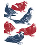 Pigeons A3 poster-print - Image 1