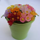 Colourful Bucket of tulips decoration