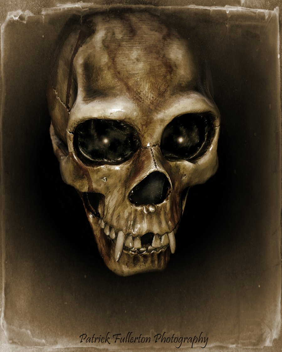 Dark and Mysterious: Gothic Horror Vampire Skull Archival Print