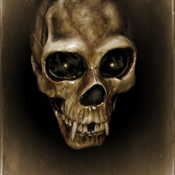 Dark and Mysterious: Gothic Horror Vampire Skull Archival Print