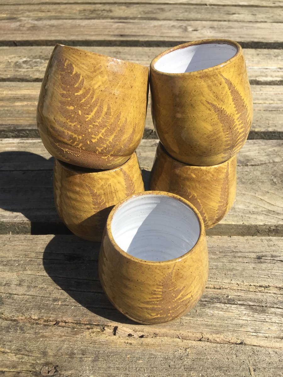 Fern Tumblers