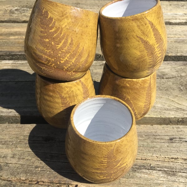 Fern Tumblers