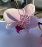 Light Radiance Pendant - Image 2
