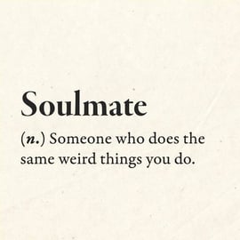 Definition of A Soulmate Alternative Funny Dictionary Word Decorative Magnet