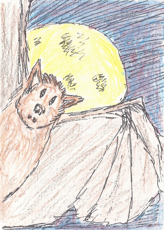 Hand coloured print  from my own original arr Aceo