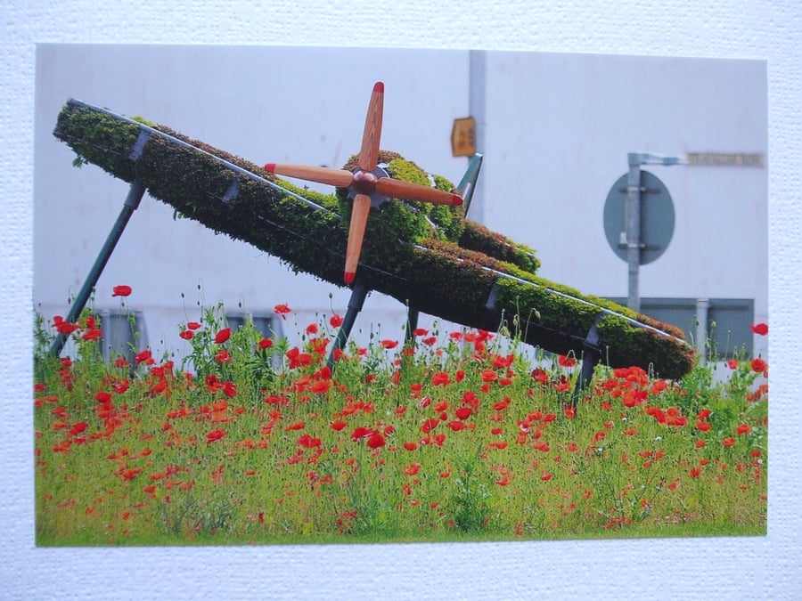 Photographic greetings card  of a Spitfire in topiary, from head on.