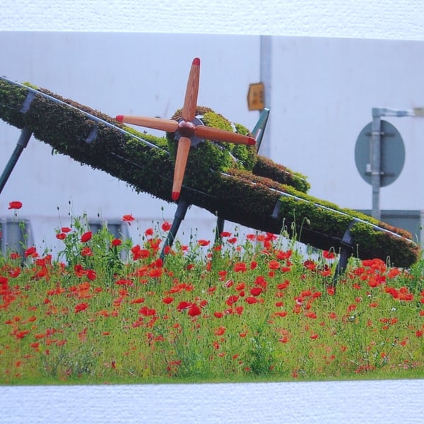 Photographic greetings card  of a Spitfire in topiary, from head on.