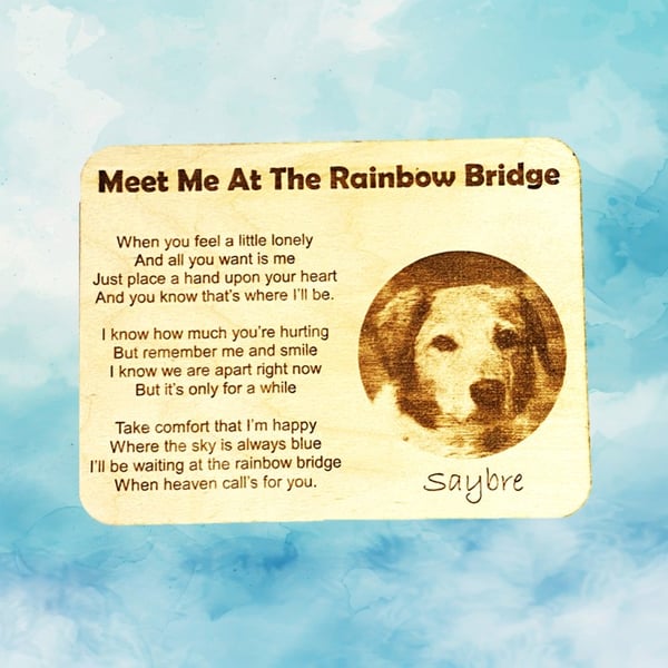 Meet Me at The Rainbow Bridge