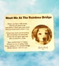 Meet Me at The Rainbow Bridge