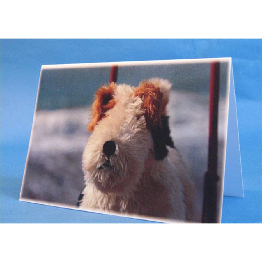 Hamilton the Dog on Wheels Toy Greeting Card