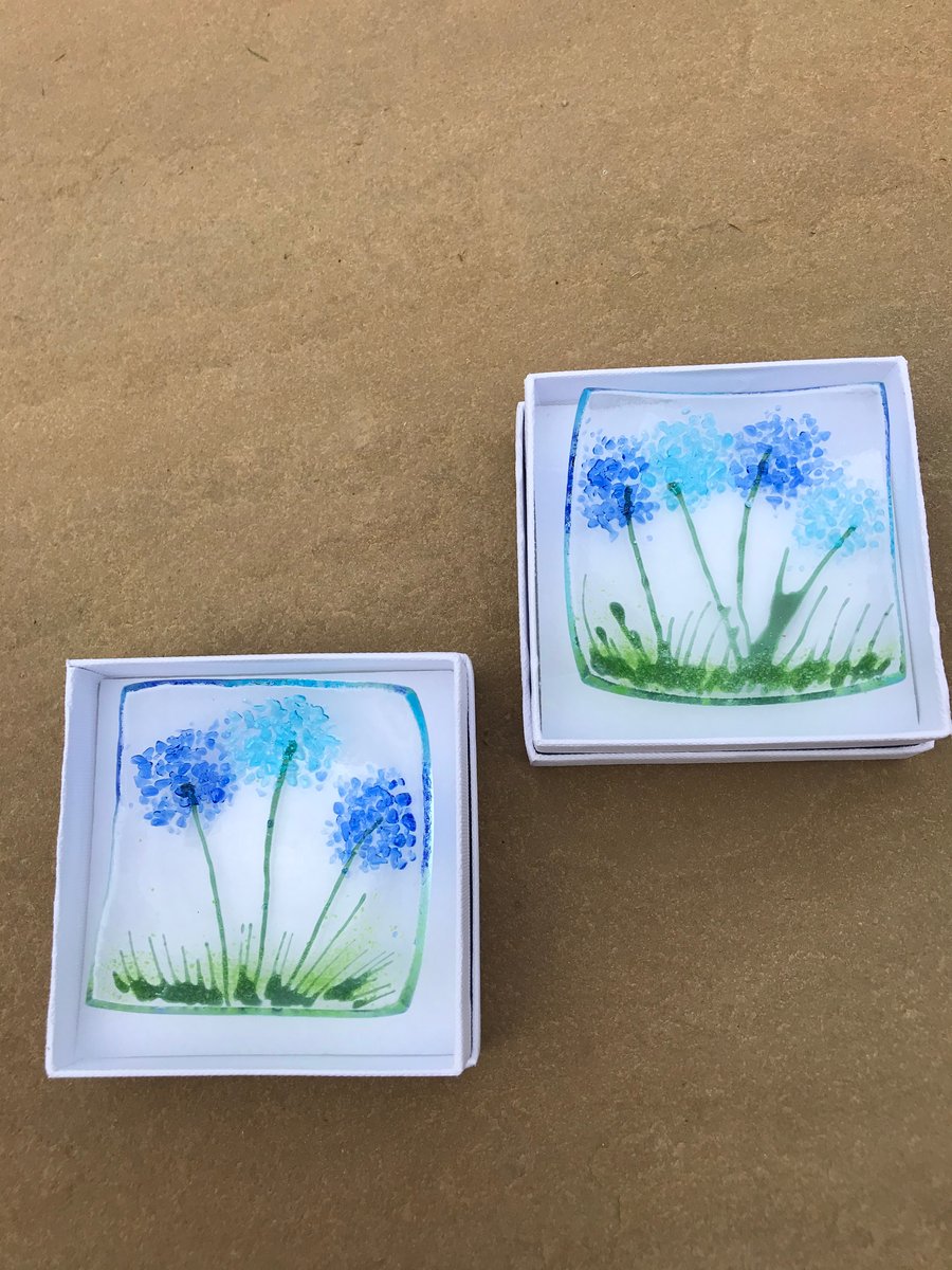 Fused glass allium trinket dish 