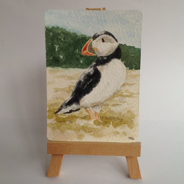 ACEO Puffin original watercolour