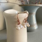 Freshwater pearl and Swarovski crystal rose gold-filled earrings