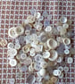 Assorted white buttons - Image 2