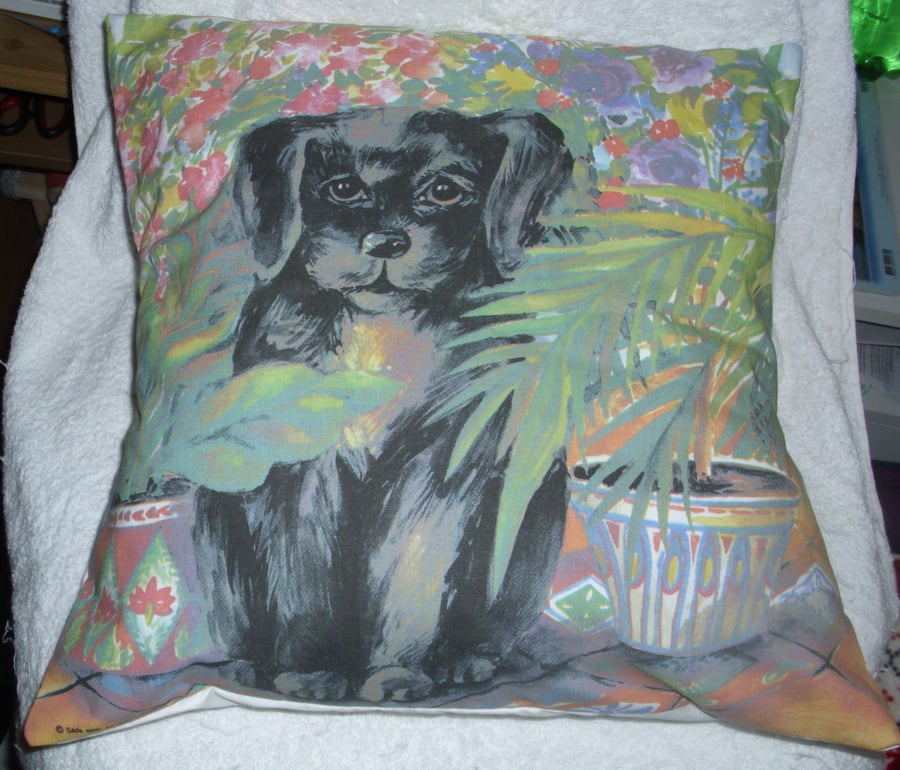 Puppy dog in the conservatory cushion