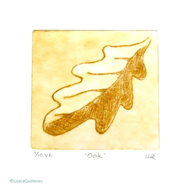Oak drypoint no.1 of 10 forest floor shades of autumn small scale print