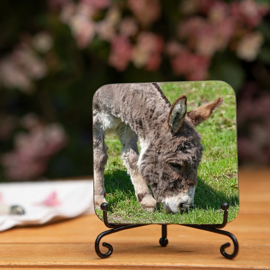 Donkey Wooden Coaster - Original Animal Photo Gifts - Wildlife Scene Coaster - D