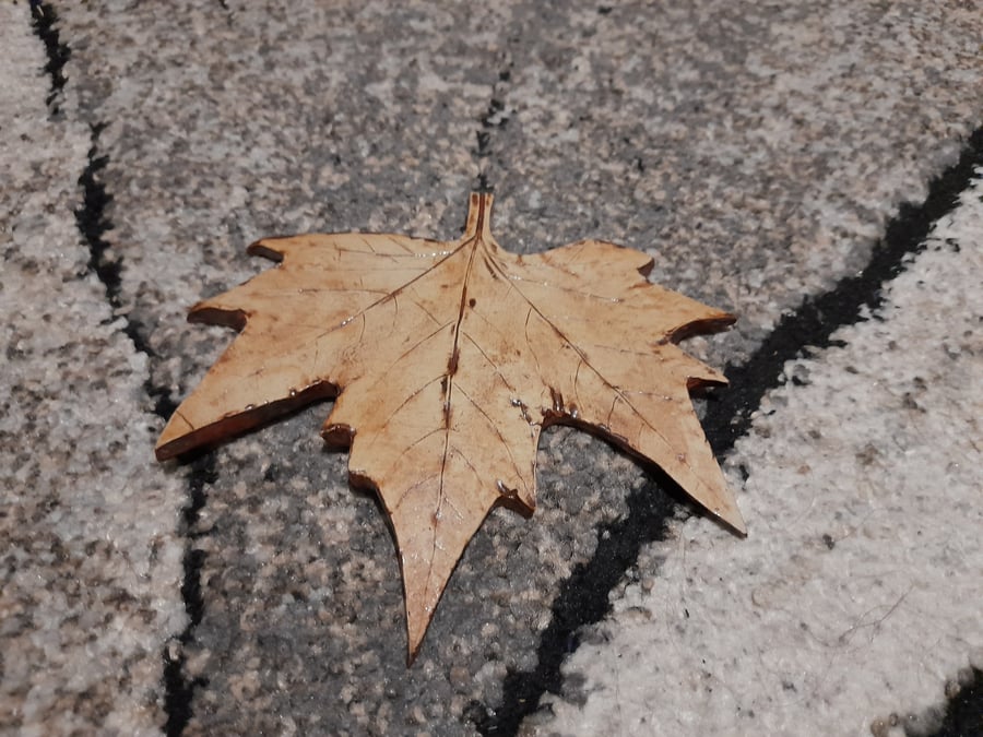 Handmade ceramic leaf decoration 
