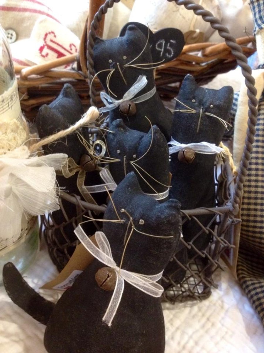 Black 'Maisie' Kitten