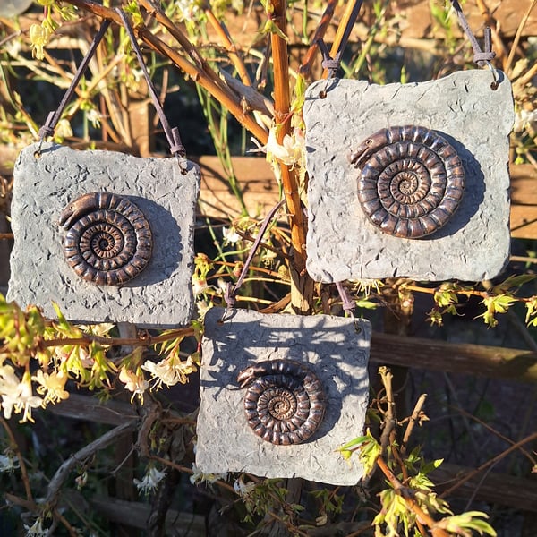 Snakestone (ammonite) - small hanging wall plaque